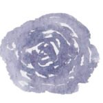 soft blue watercolor flower